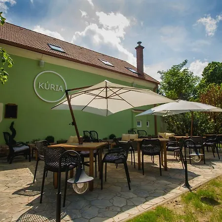 Kuria Penzion Nové Mesto nad Váhom