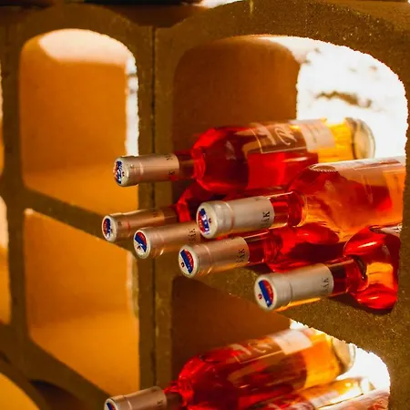 Kuria Penzion Nové Mesto nad Váhom